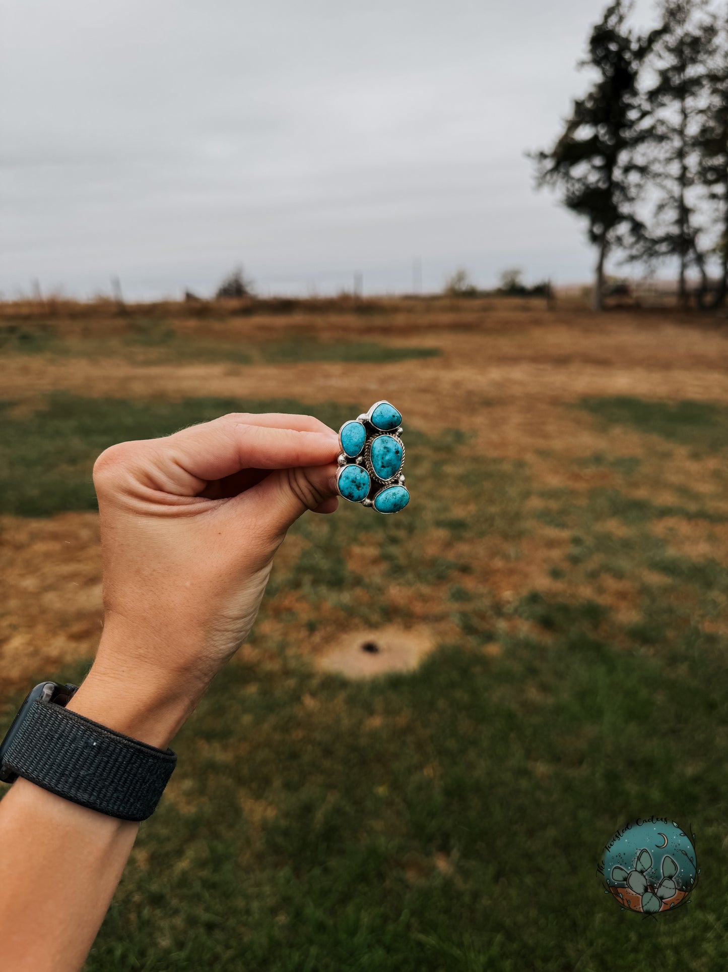 Kingman Turquoise Statement Cluster Ring