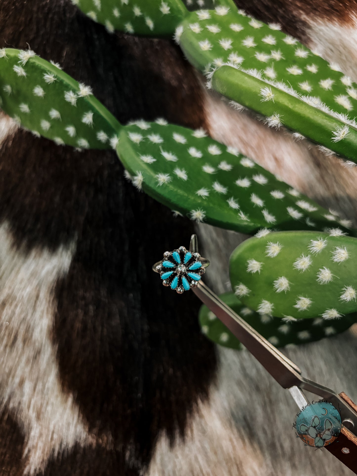 Small Cluster Ring