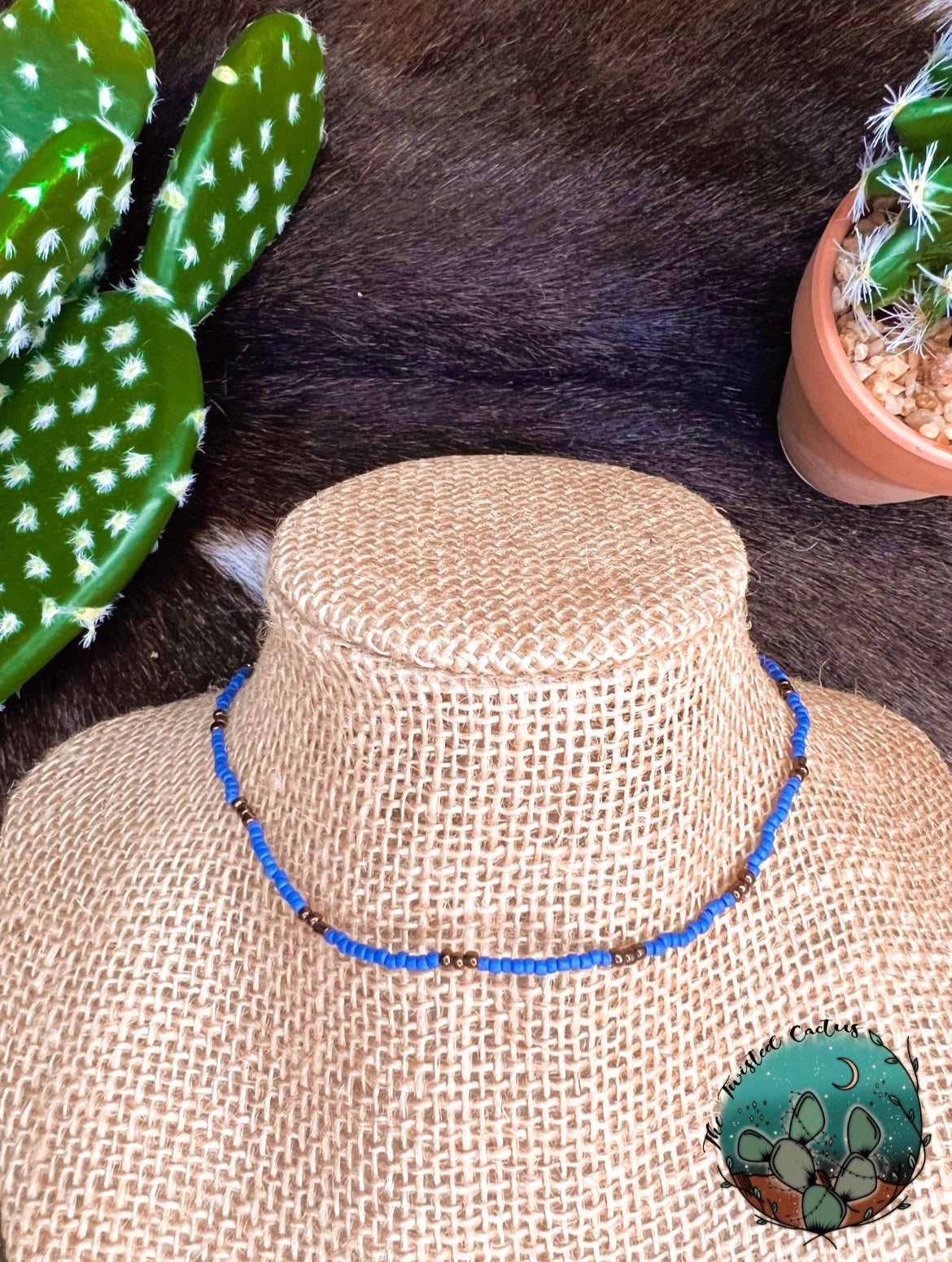 honey cactus The Honey – The Twisted Cactus